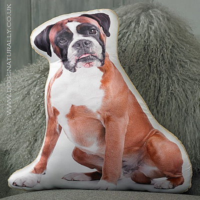 Boxer Cushion